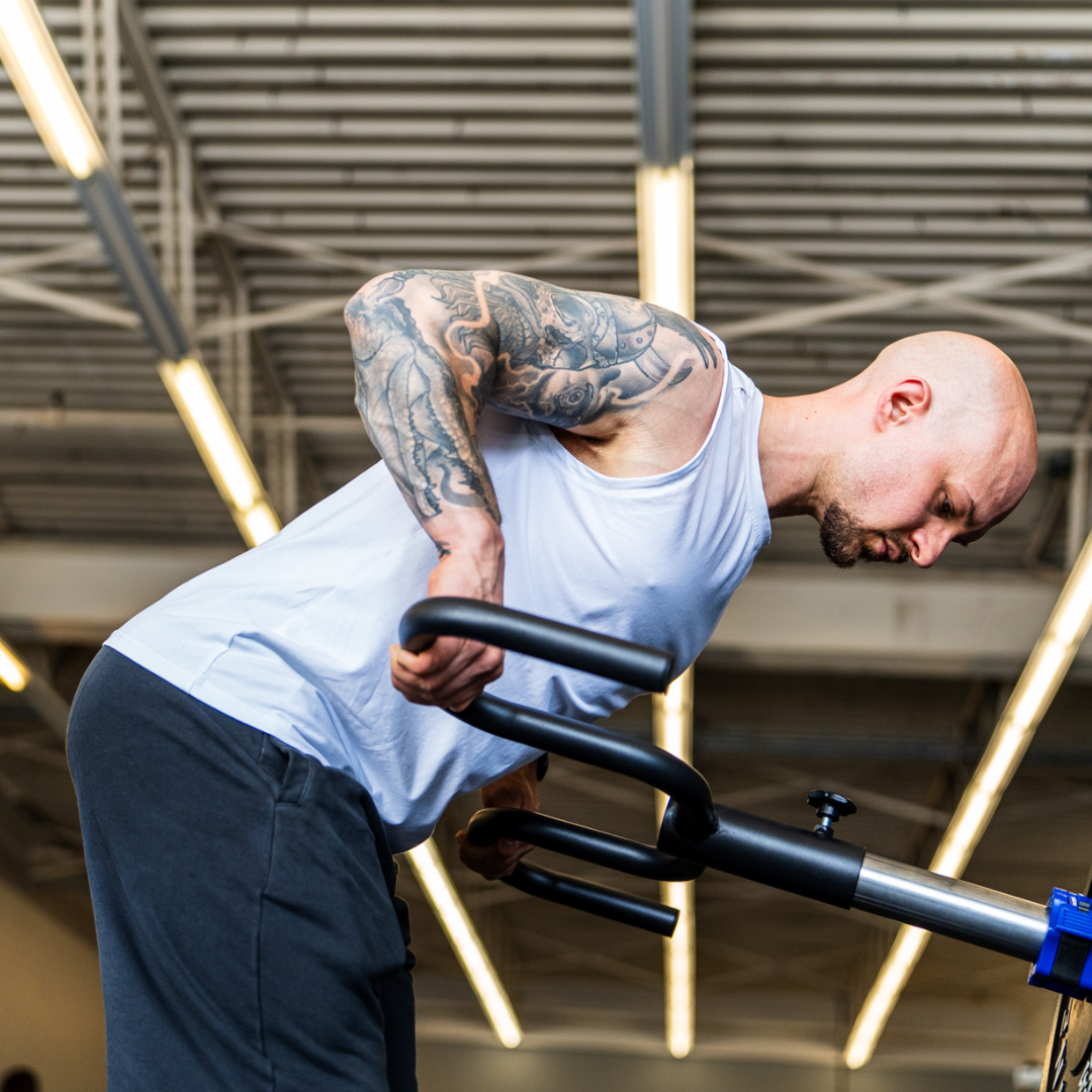 Viking Press